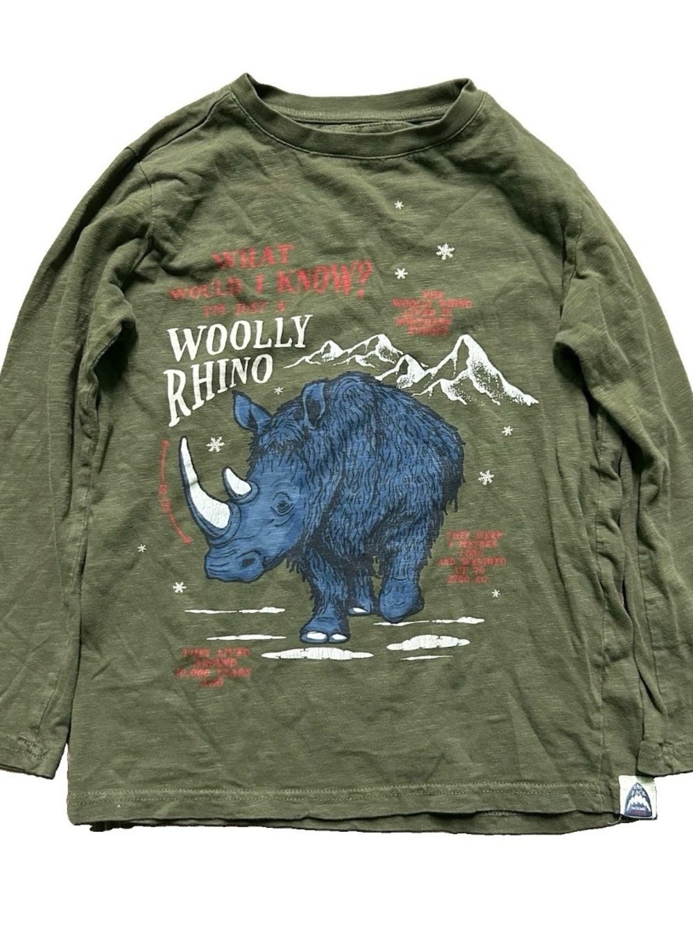 Boy’s Fat Face Green Long Sleeve Shirt Rhino Size 8/9